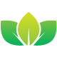 leaf-icon
